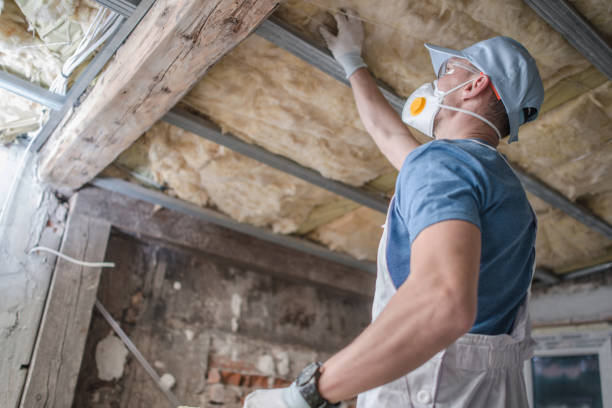 Best Insulation for New Construction  in Cedar Park, TX